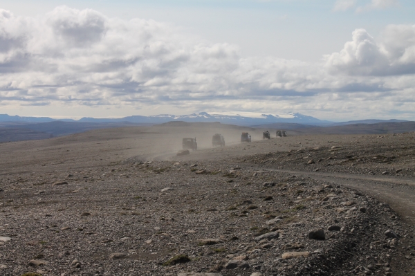 Iceland’s Highland Roads Facilitate Plant Invasions